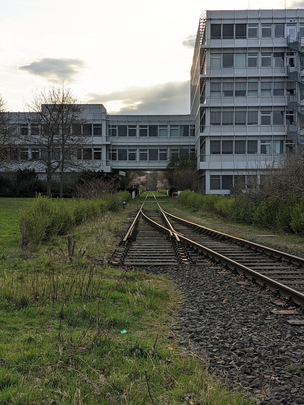 CCBYSA_dadada_rail.jpg